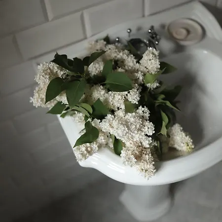 7 Stodola - Butikowy Lägenhet Osiek (Pomerania)