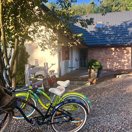 7 Stodola - Butikowy