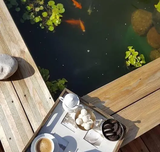 7 Stodola - Butikowy