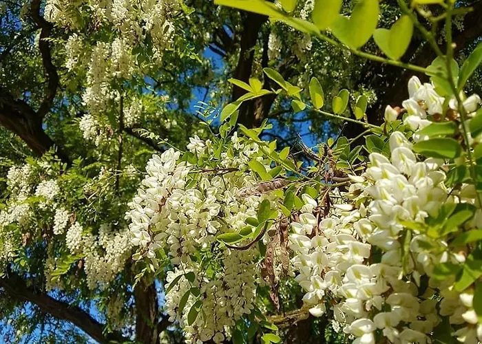 7 Stodola - Butikowy Lägenhet *