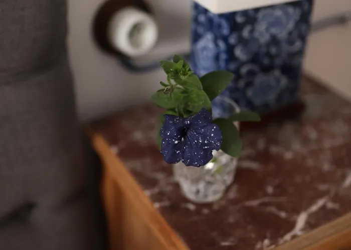 Lägenhet 7 Stodola - Butikowy