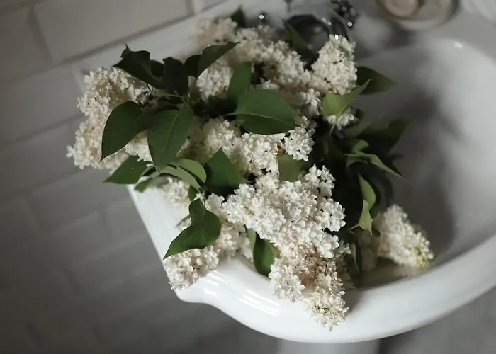 7 Stodola - Butikowy Апартаменты Осек