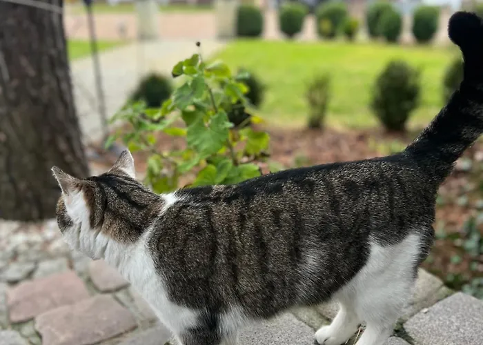 7 Stodola - Butikowy Апартаменты Осек