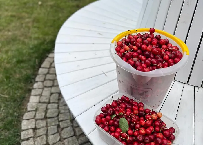 Апартаменты 7 Stodola - Butikowy Осек